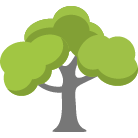 Pataskala Tree Removal