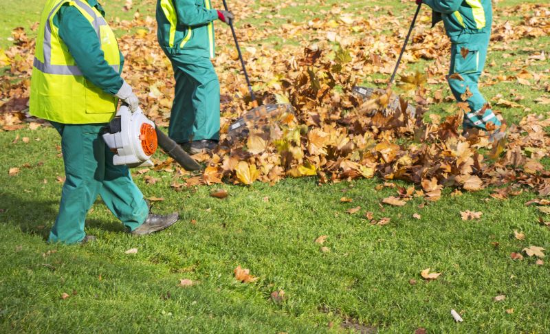 Leaf Raking