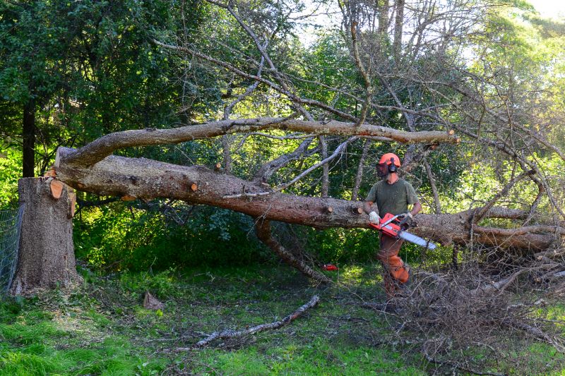 Tree Removal Equipment