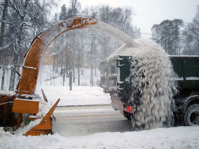 Tree Removal Equipment