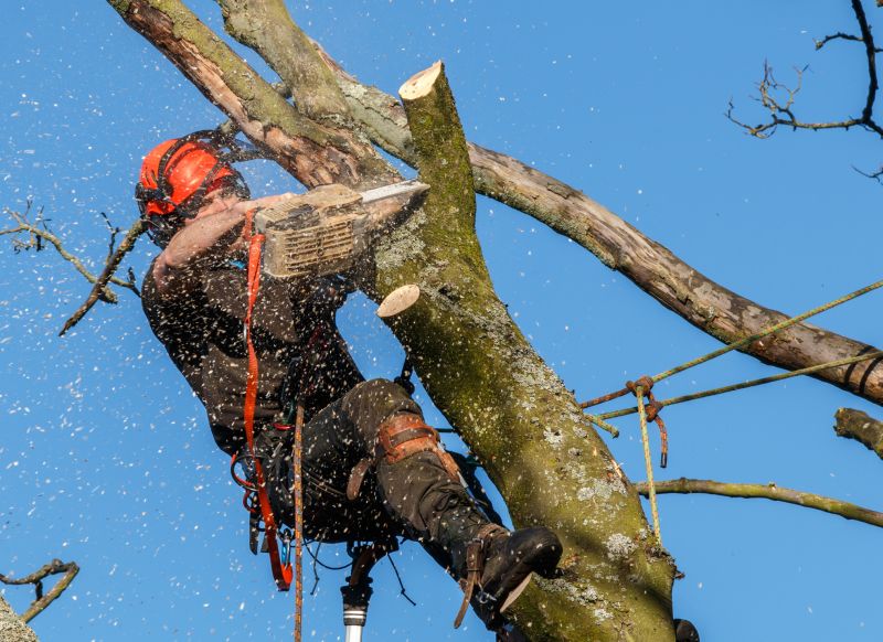 Safety Gear in Action