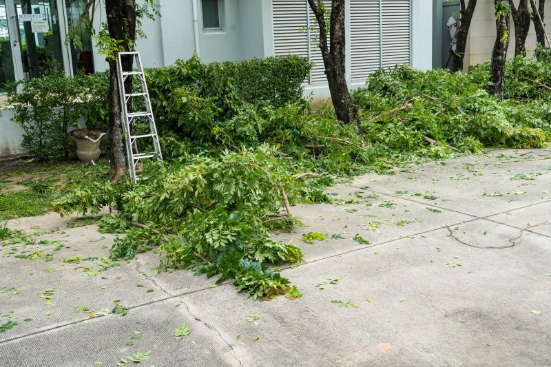 Landscape Restoration