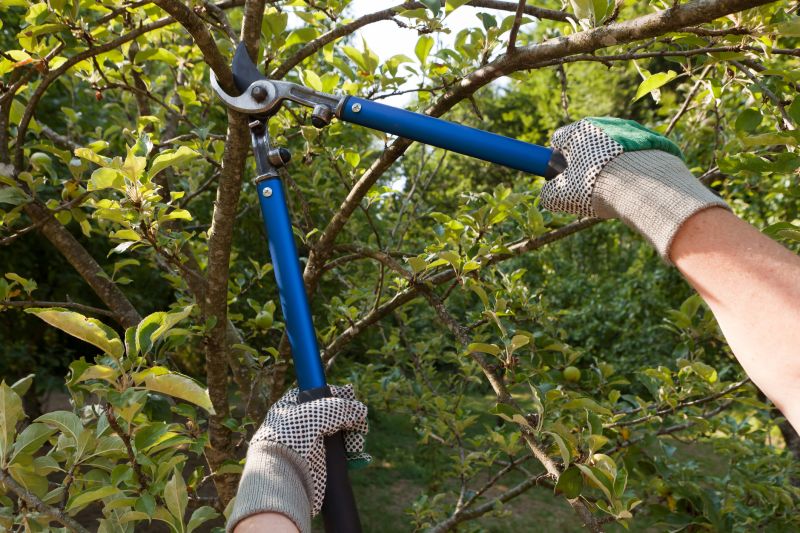 Landscaping Contractors